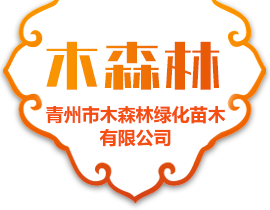 青州美騰花卉苗木有限公司